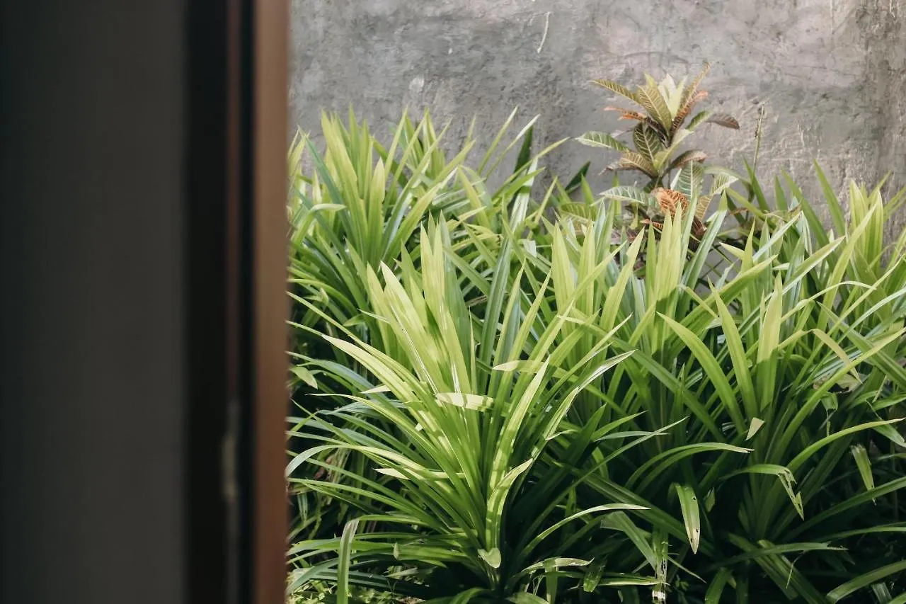 *** Hotel Queen At Gunung Sari Ubud Indonesia